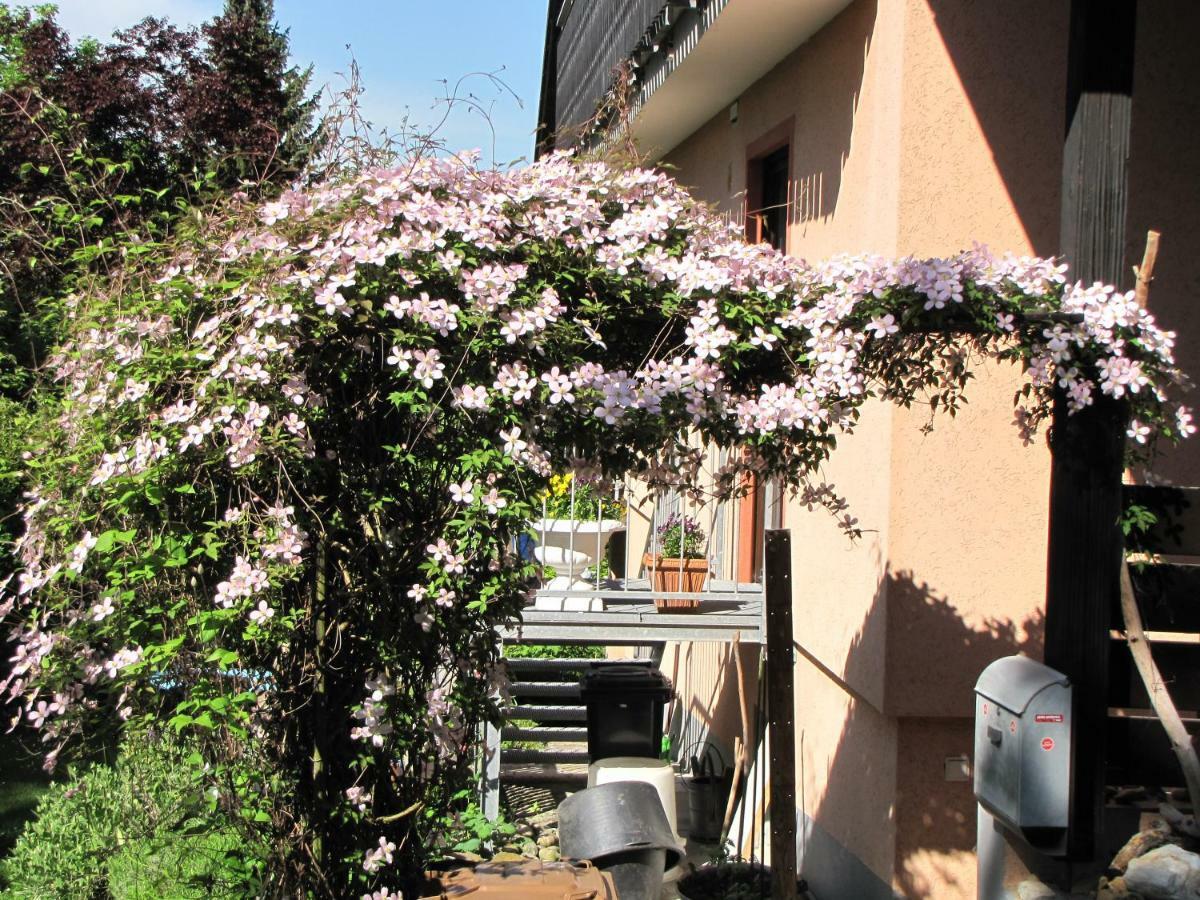 Ferienwohnung Bellairis Igersheim Exterior foto